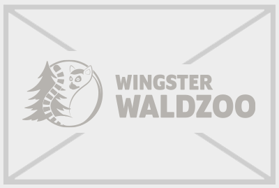Kindertag im Wingster Waldzoo