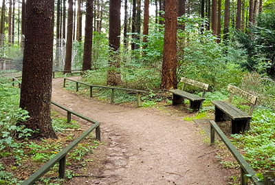 Breiter, ebener Weg mit Geländern und Sitzbänken im Waldzoo-Bereich Taiga