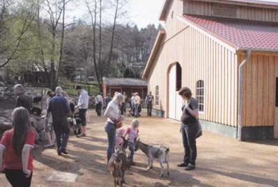 Neubau der großen Holzscheune im Streichelzoo