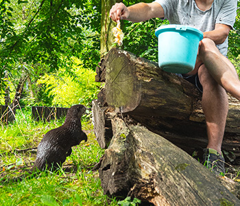 Tierpfleger für einen Tag
