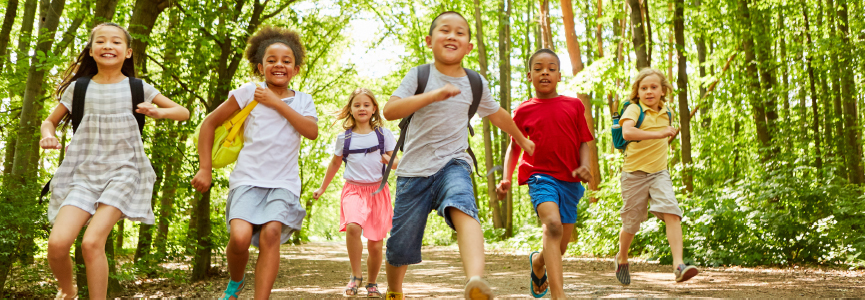 Kinder laufen einen sonnigen Waldweg entlang